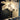 lampadaire autruche, lampe déco autruche, lampadaire design résine, lampadaire E14 LED, lampadaire dimmable, lampe de salon originale