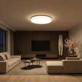 plafonnier scandinave, lampe plafond LED, luminaire nordique, plafonnier moderne, éclairage salon, lampe design aluminium, plafonnier chambre