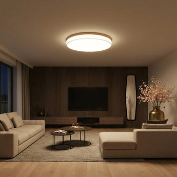 plafonnier scandinave, lampe plafond LED, luminaire nordique, plafonnier moderne, éclairage salon, lampe design aluminium, plafonnier chambre