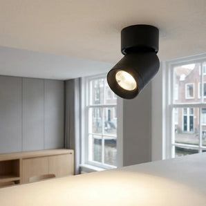 Spot de plafond noir et blanc à tête orientable | Lysrum