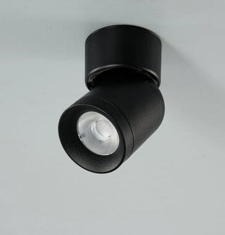 Spot de plafond Lysrum, gros plan sur la tête orientable