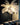 lampadaire autruche, lampe déco autruche, lampadaire design résine, lampadaire E14 LED, lampadaire dimmable, lampe de salon originale
